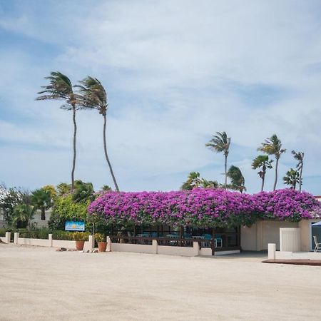 Aruba Beach Villas Palm Beach ภายนอก รูปภาพ