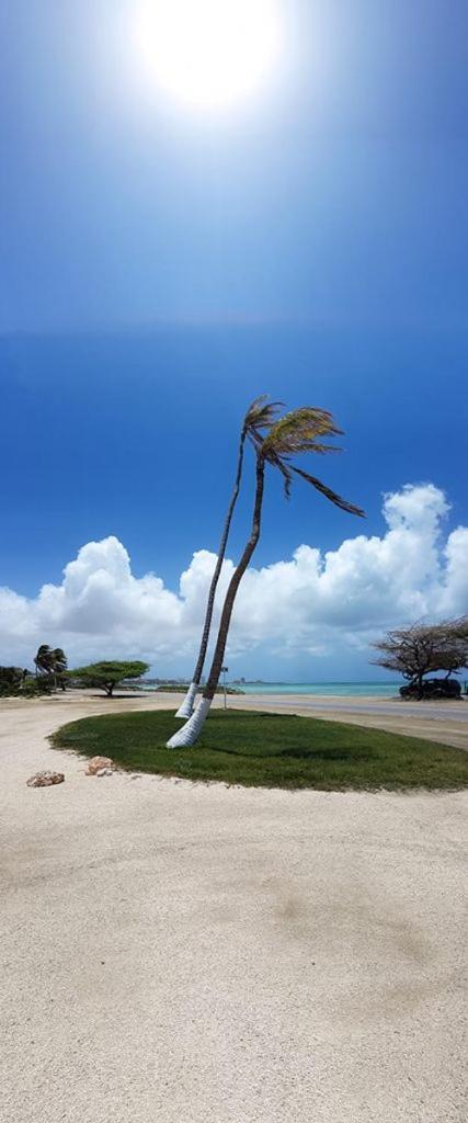 Aruba Beach Villas Palm Beach ภายนอก รูปภาพ