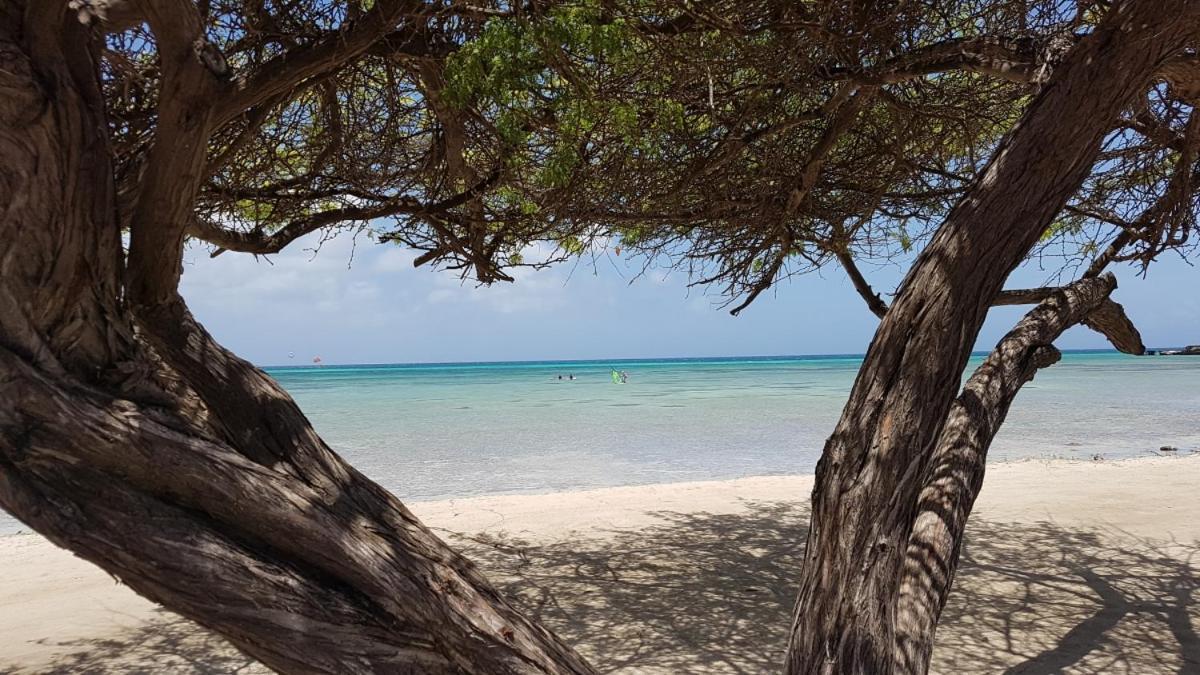Aruba Beach Villas Palm Beach ภายนอก รูปภาพ